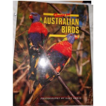 Focus on Australian Birds