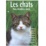 LES CHATS nos tendres amis