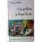 Un grillon à New York