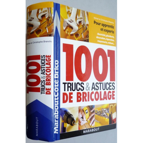 1001 trucs et astuces du bricolage