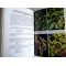 DES PLANTES POUR VOTRE SANTE