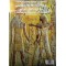 La mythologie egyptienne