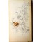 Guide des oiseaux