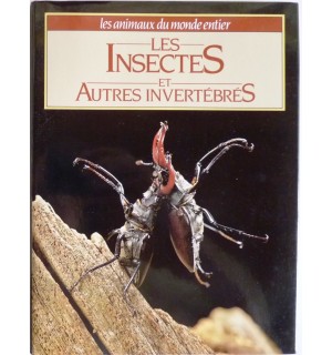 Les Insectes et autres invertébrés