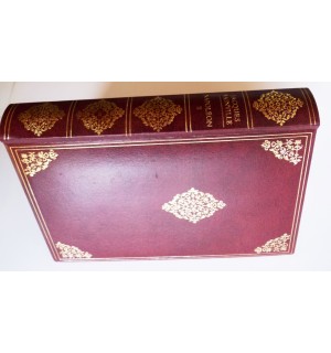 NAPOLEON (tome 2)